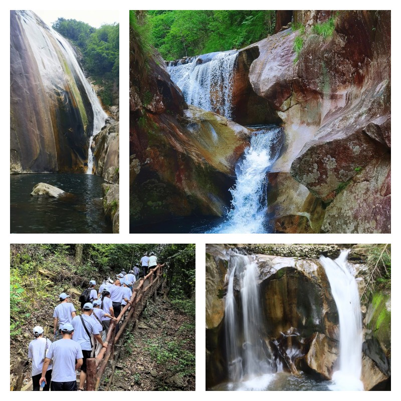 汪湖森林公园.jpg 汪湖森林公园.jpg